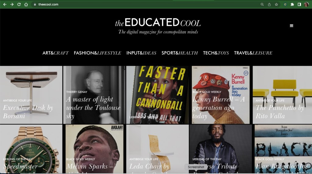 Homepage of TheEducatedcool magazine showing multiple thumbnails of articles available to view.